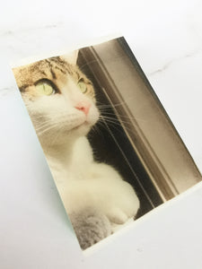 Picture Soaps- Create your own