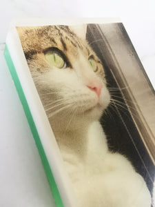 Picture Soaps- Create your own