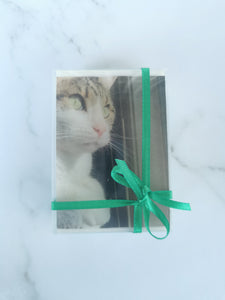 Picture Soaps- Create your own